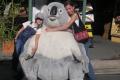 27_sydney_1104_koala_calins 