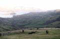 08_nz_1404_paysage_vaches Vue des banks et d'Akaroa prise en montant dans les montagnes sous le regard de quelques vaches. Elles sont bien sur bien plus grandes et bien plus grasses que celles que nous avont vues en Asie ...