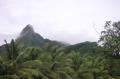 07_cook_0905_montagnes 