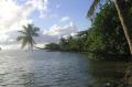 6a_Moorea_1905_cocotoerplongeoir 